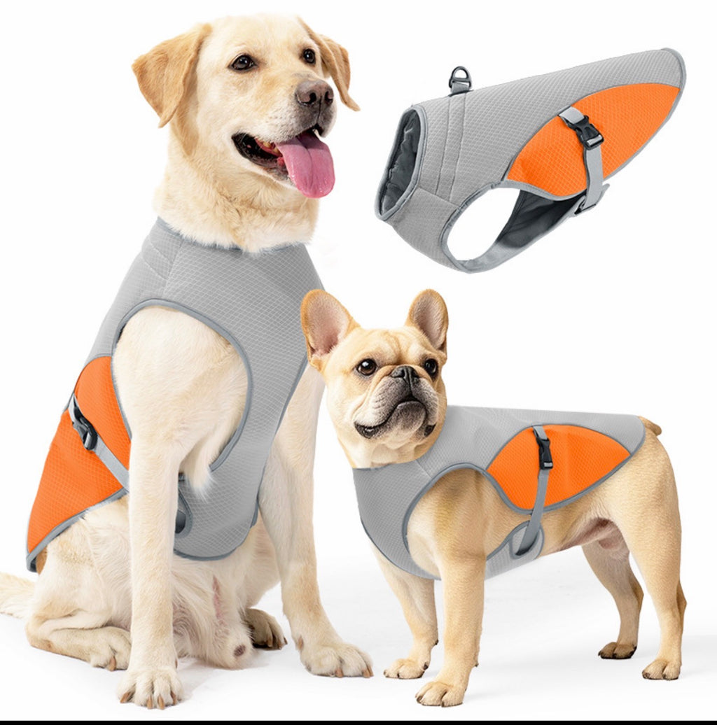 Gilet Rinfrescante per Cani – Stop al Caldo in pochi secondi 🐶❄️