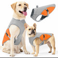 Gilet Rinfrescante per Cani – Stop al Caldo in pochi secondi 🐶❄️
